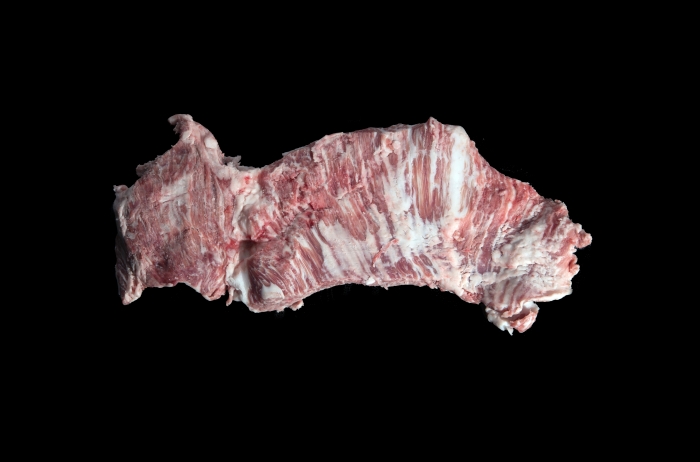 Cruceta Ibérica