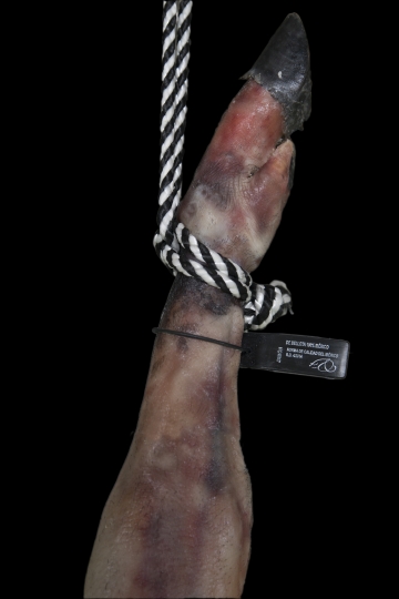 Jamón Bellota 100% Ibérico