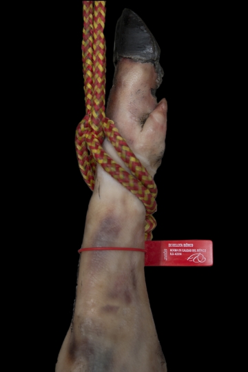 Jamón Bellota Ibérico 75%-50% Raza Ibérica