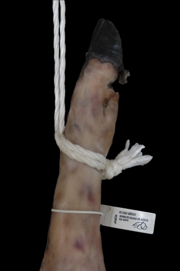 Jamón Cebo Ibérico 50% Raza Ibérica
