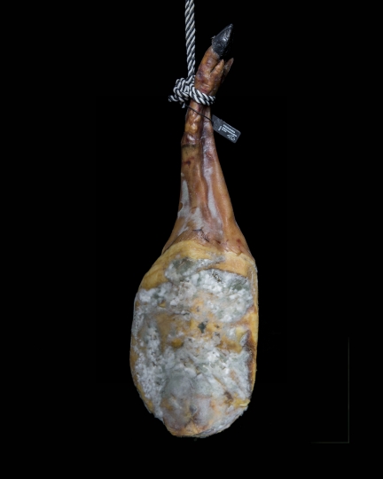 Paleta Bellota 100% Ibérica